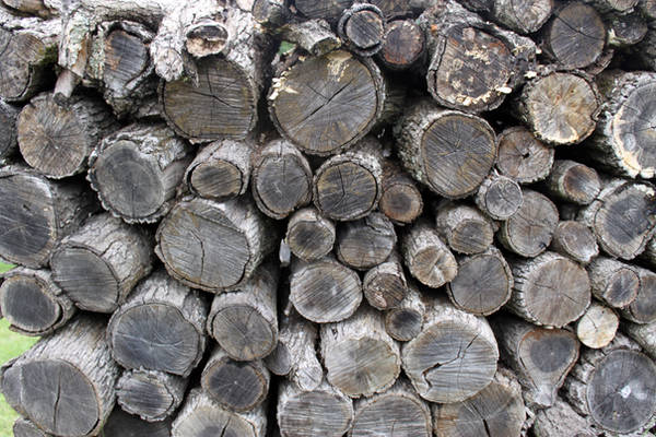 Wood-Stock1 by Stock-Tography
