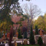 Fine place in town, where I was born 1/3