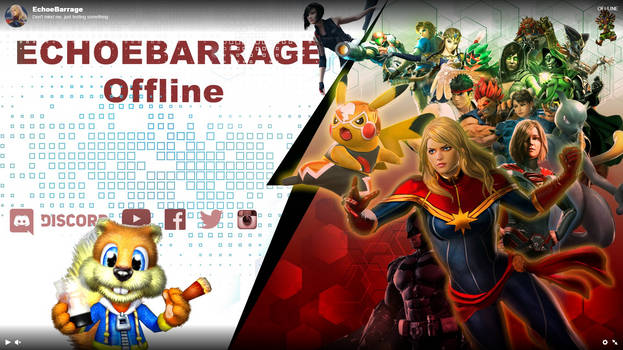 Echoebarrage Twitch Offline Banner