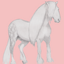 Dales Pony