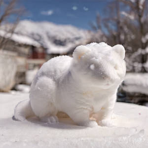 Snow ferret