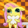 Fluttershy and Doughnut