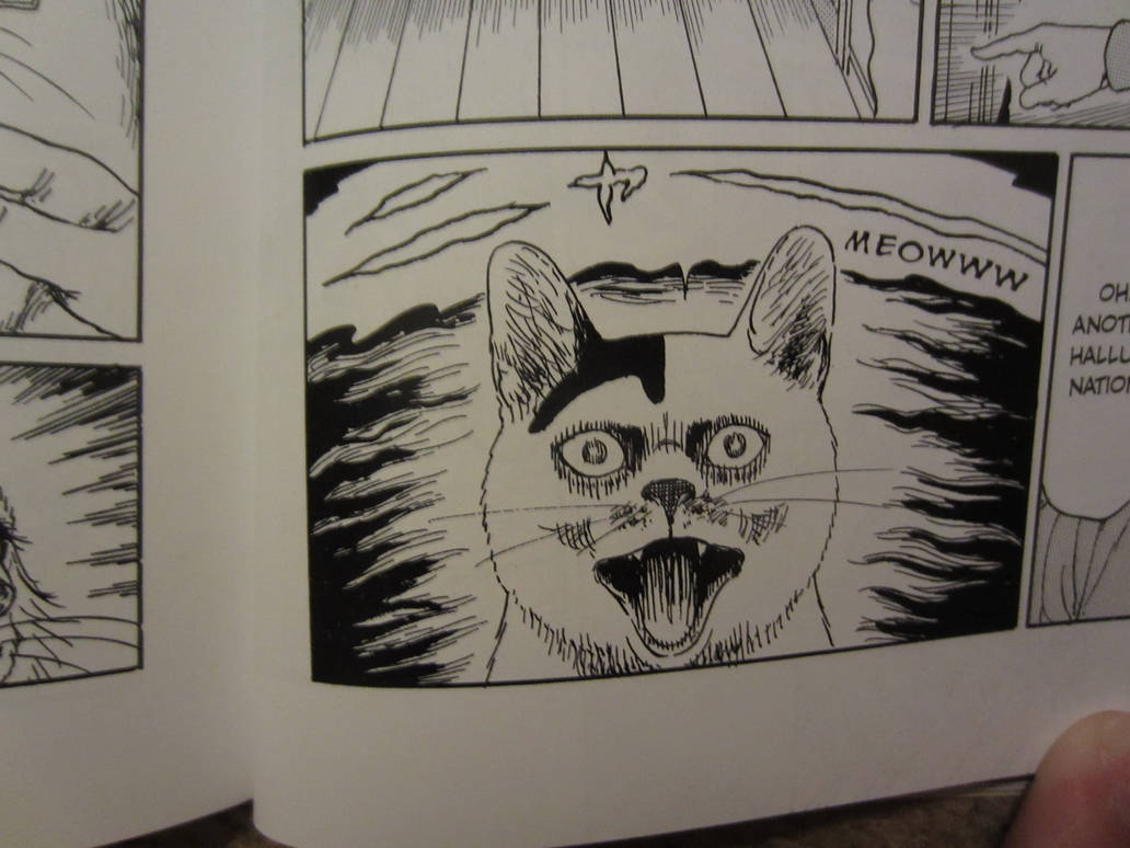 Junji Ito's Cat Diary Yon And Mu Junji Ito's Cat Diary Yon and Mu (Favorite Panels) by SableUnstable on