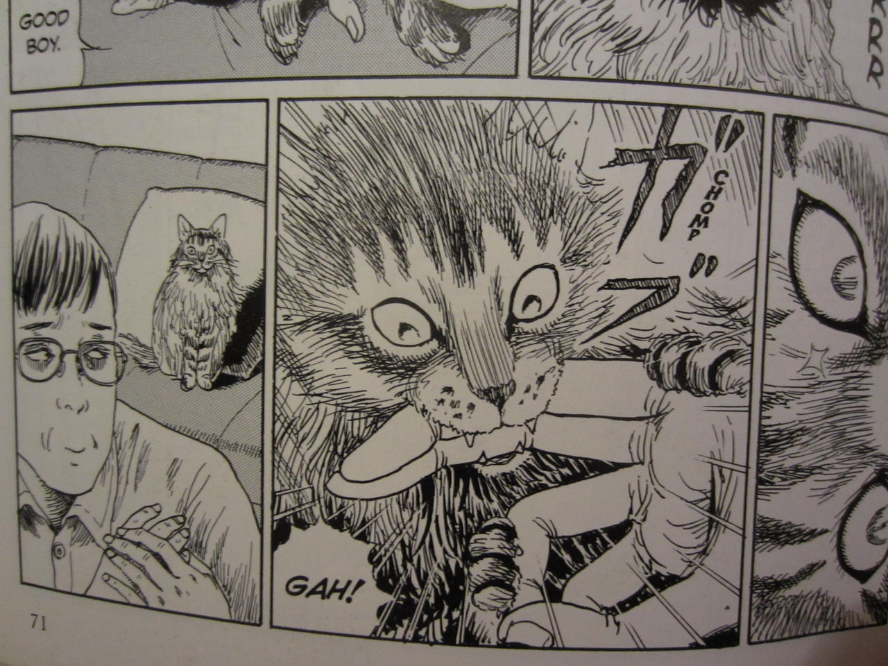 Junji Ito's Cat Diary Yon And Mu Junji Ito's Cat Diary Yon and Mu (Favorite Panels) by SableUnstable on