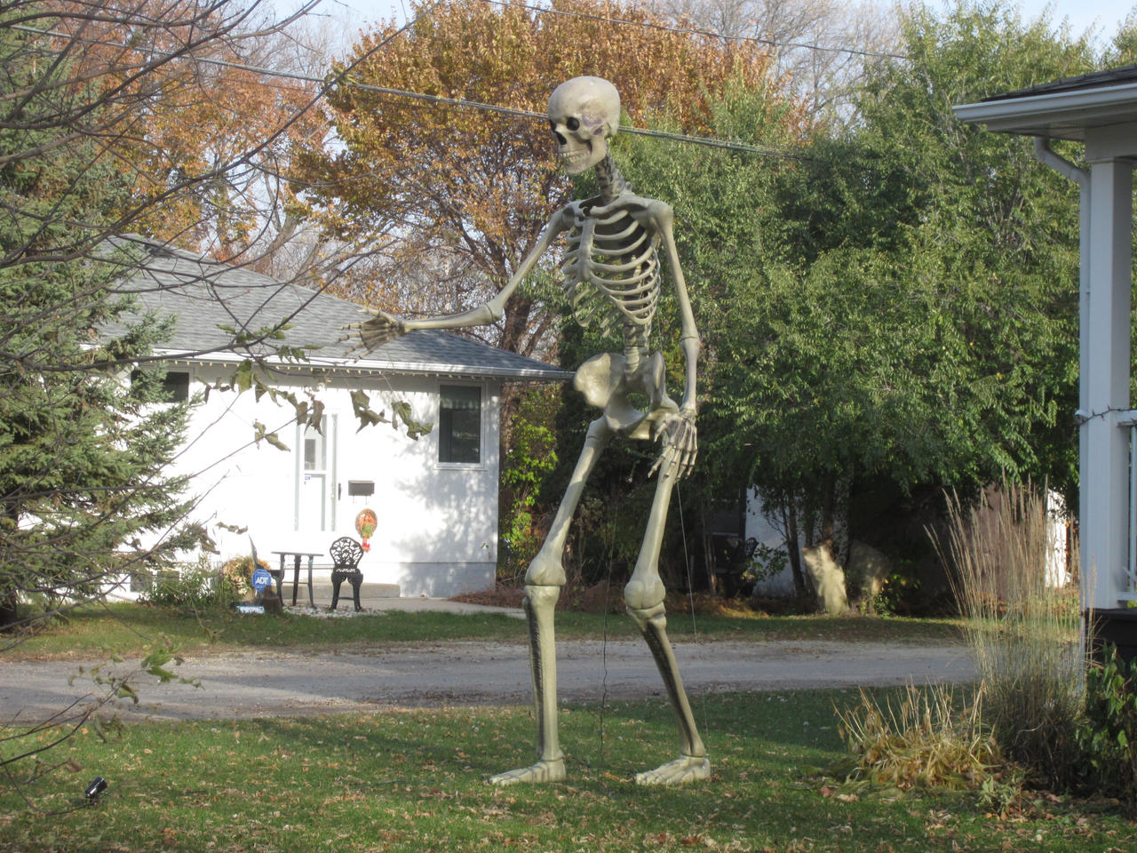 Extra Large Skeleton Giant Skeleton Halloween Decoration by SableUnstable on DeviantArt