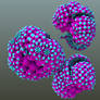 Toxic Spores 3D Fractal