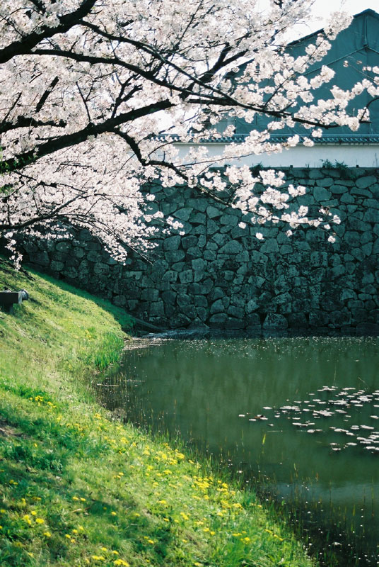 Ruins of Fukuoka Castle