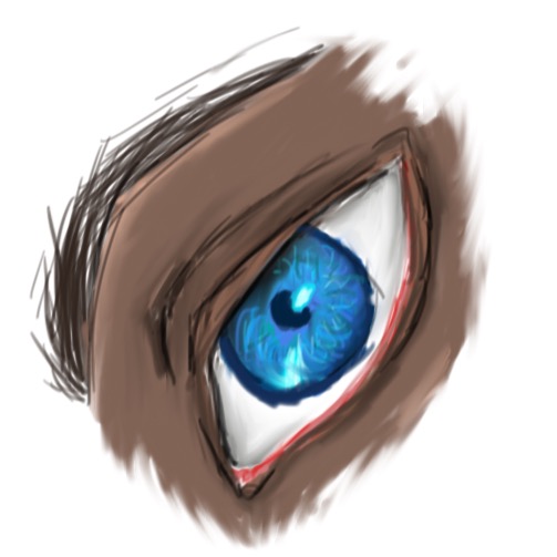 Eye Sketch