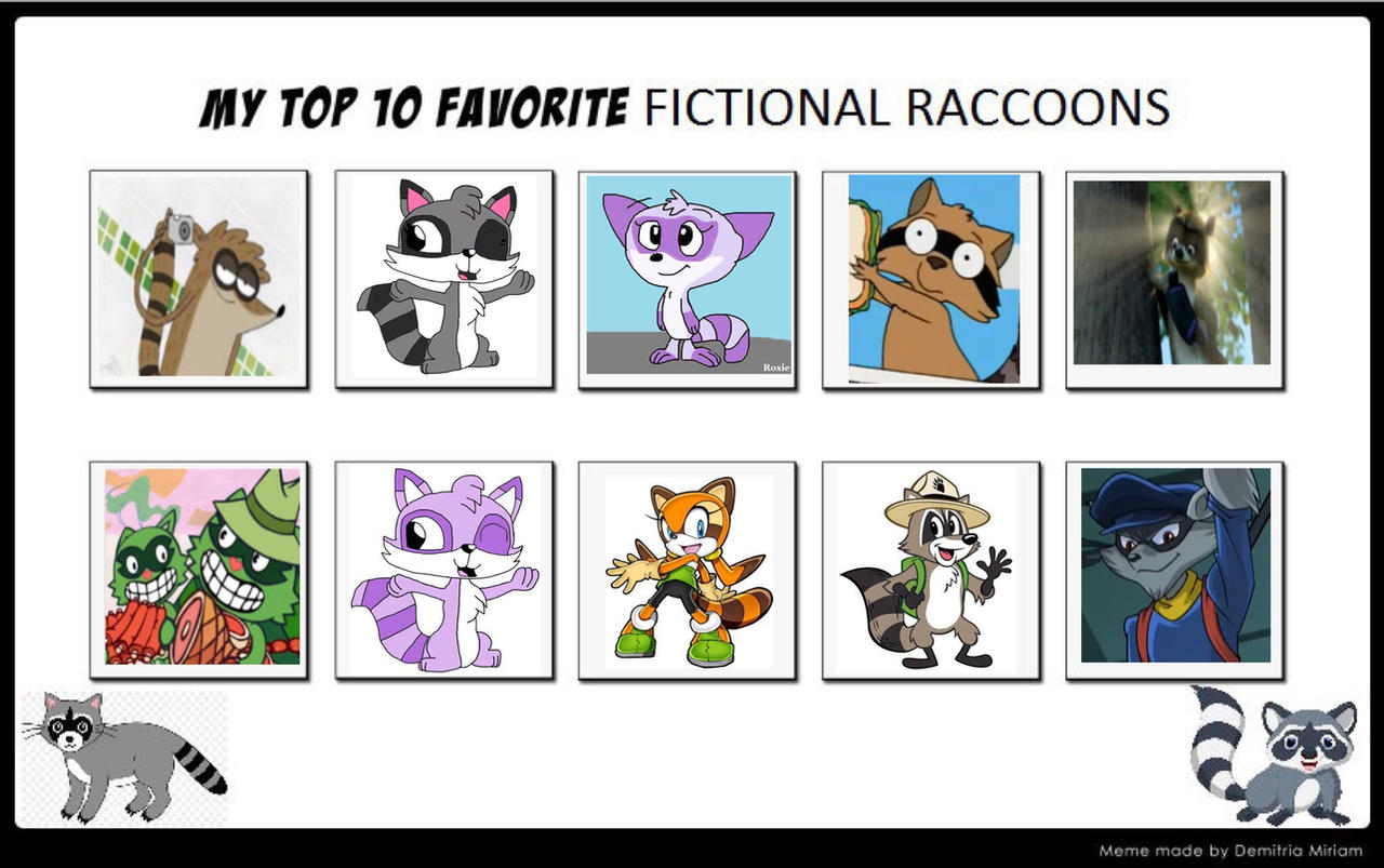 My Top 10 Raccoon by darina3 on DeviantArt