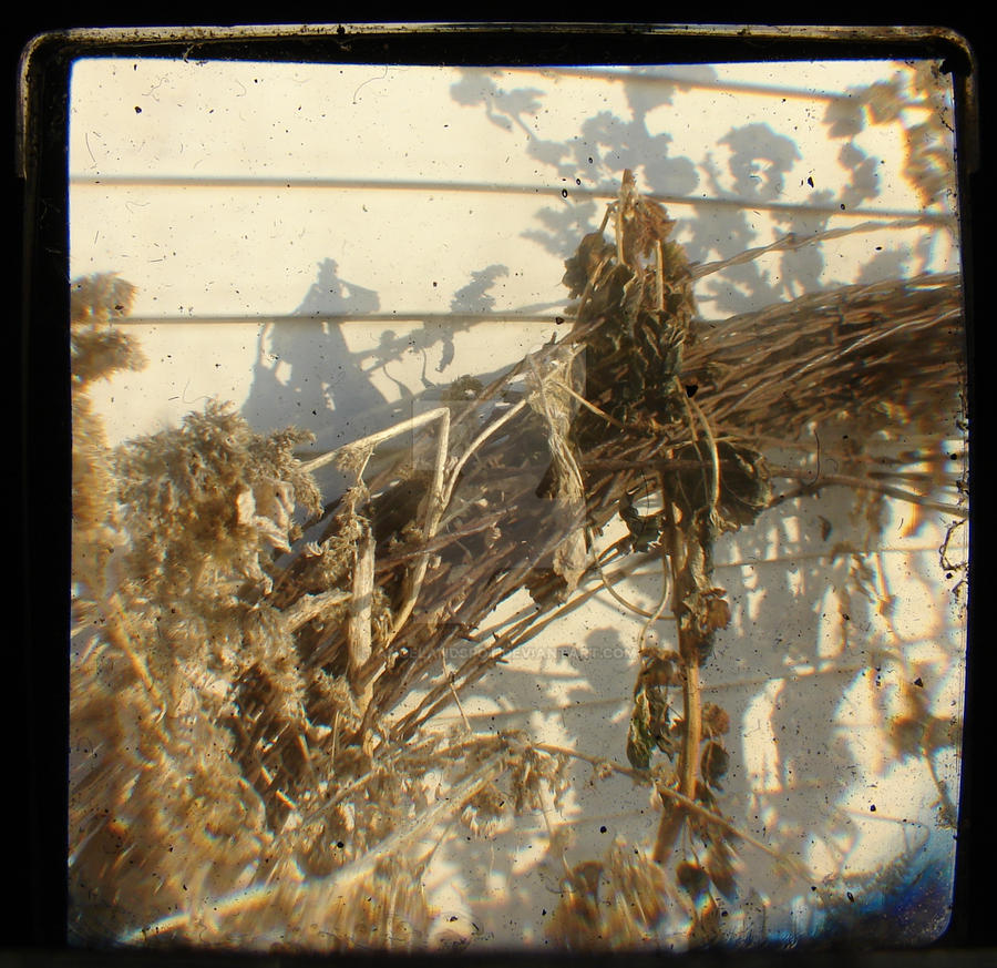Barbed TTV by angelandspot on DeviantArt