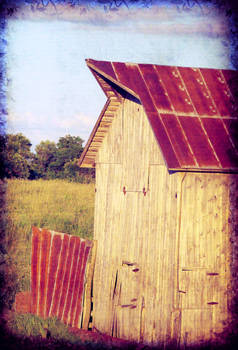 The Old Shed