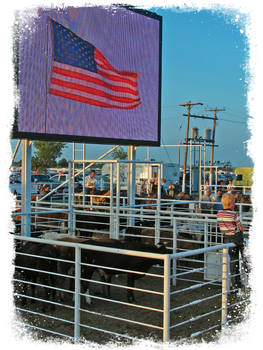 Rodeo Boy on Fence and American Flag on Screen