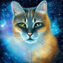 Cosmic Cat