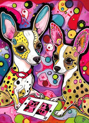 Adorable Chihuahua dogs playing cards