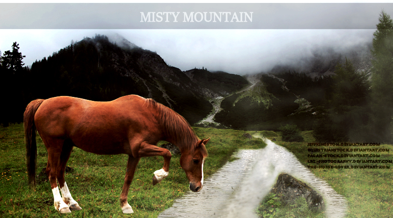 Misty Mountain 