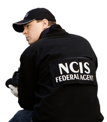 NCIS McGee Render