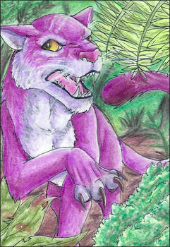 ACEO - Angry cat
