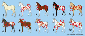 Foal Point Adoptables-ALL SOLD