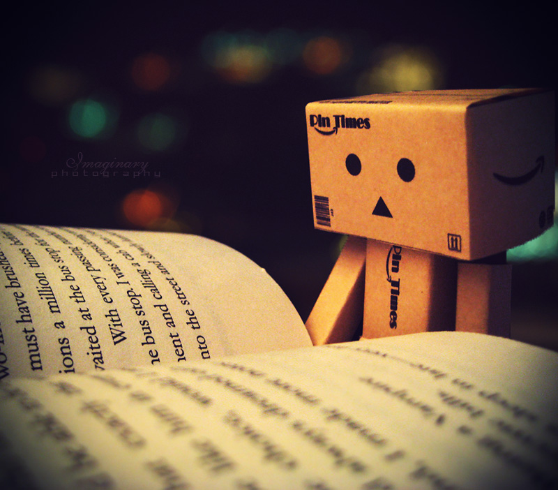 Danbo reading