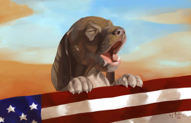 Patriot Dog