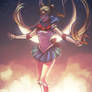 Sailor Moon the Champion of Justice