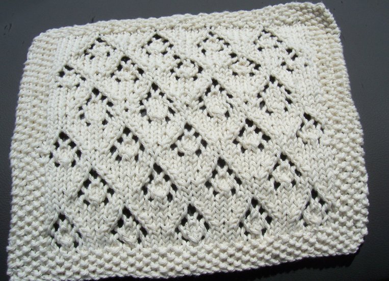 Inge Dishcloth