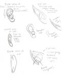 Elf Ear Drawing Reference - Elasaiu Wallpaper
