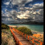 Wooden Boardwalk