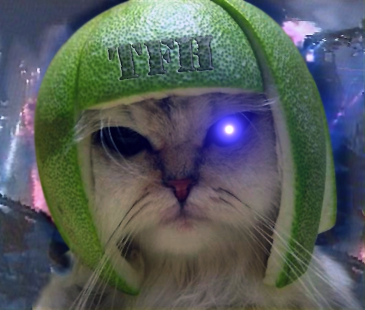 Cyber-cat