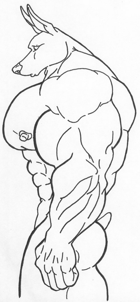Muscle Doberman by Nudog