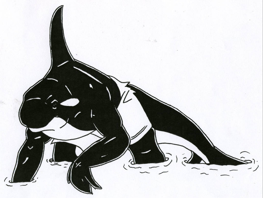 Orca TF by Paleos by Stonegate on DeviantArt