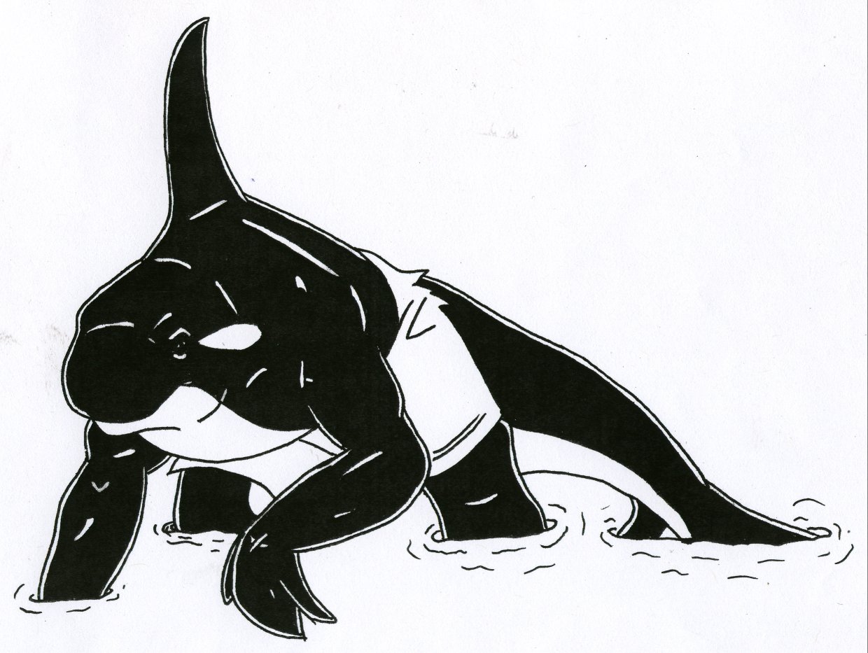 Orca TF by Paleos by Stonegate on DeviantArt
