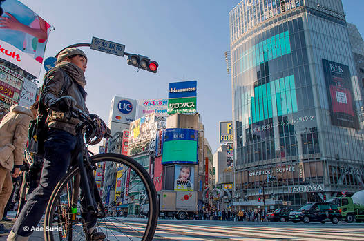 Shibuya Crossing