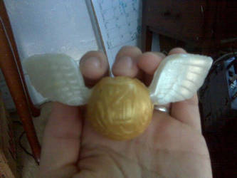 The Back of my Snitch