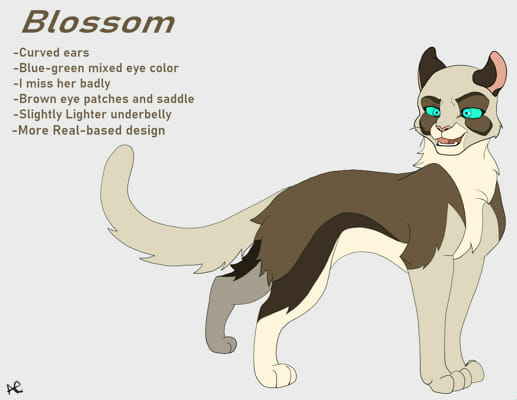 Character Designing: Warrior Cats Villains by RallyAllyArtist on DeviantArt