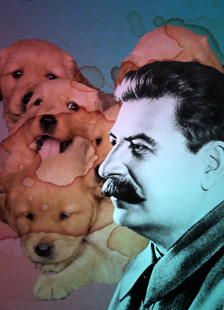 Stalin and Puppies