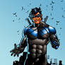 Nightwing - Series II