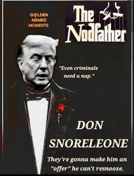 The Nodfather