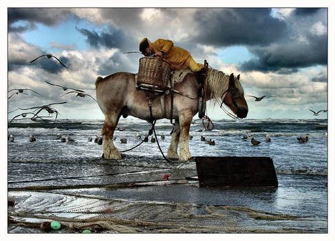 Fisherman's Friend