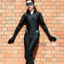 Catwoman: The Thief