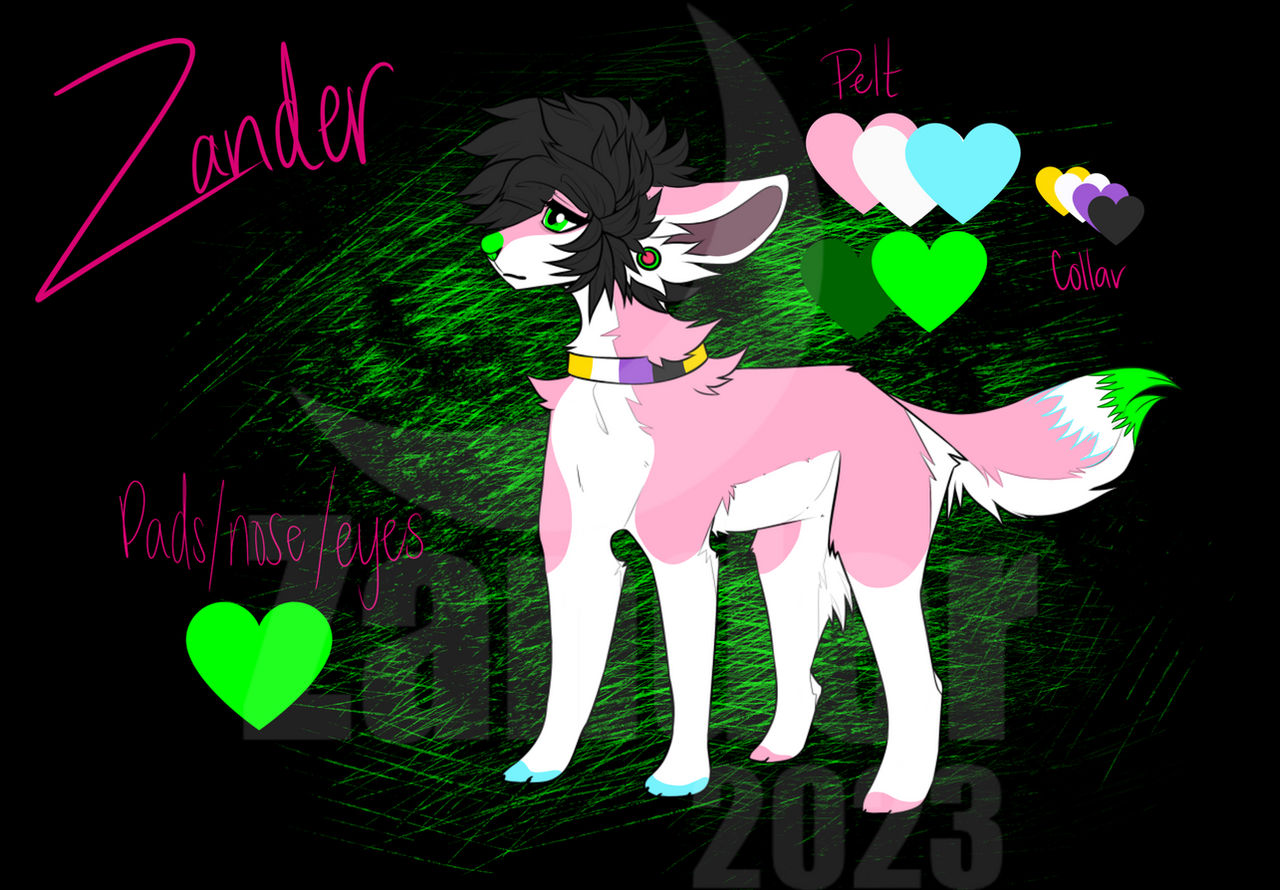 Zander ref by ZanZan98 on DeviantArt