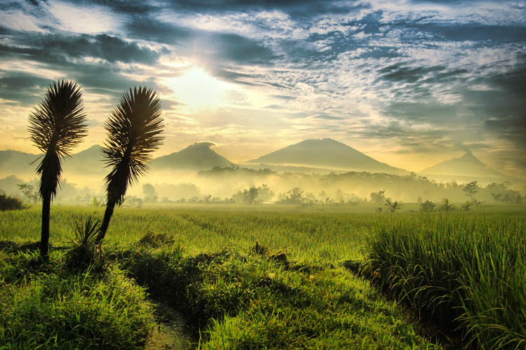 mounts of central java