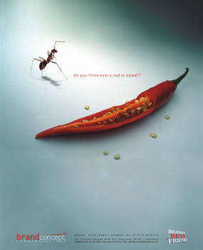 the ant and chili