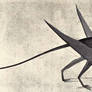 1901 Pterosaur Restoration