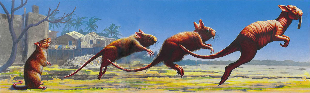 Earth First Rattoo Future Evolution - The Evolution of the Rataroo by Kingofallkongs on ...