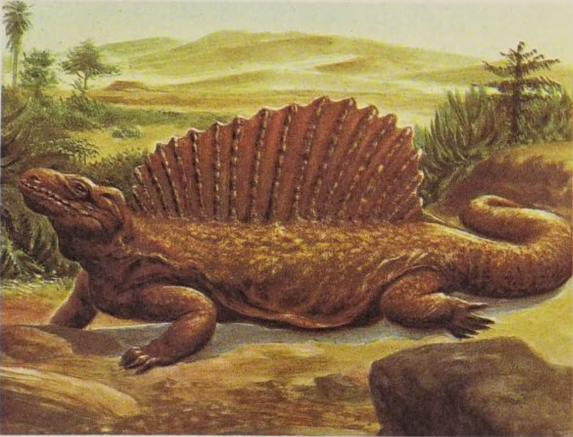 Edaphosaur Edaphosaurus by Kingofallkongs on DeviantArt