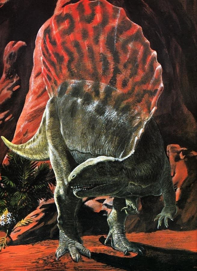 Outdated Spinosaurus Outdated Spinosaurus by Kingofallkongs on DeviantArt