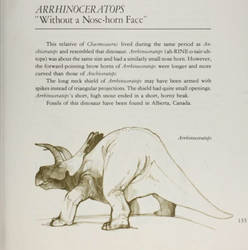 1981 Arrhinoceratops by Kingofallkongs