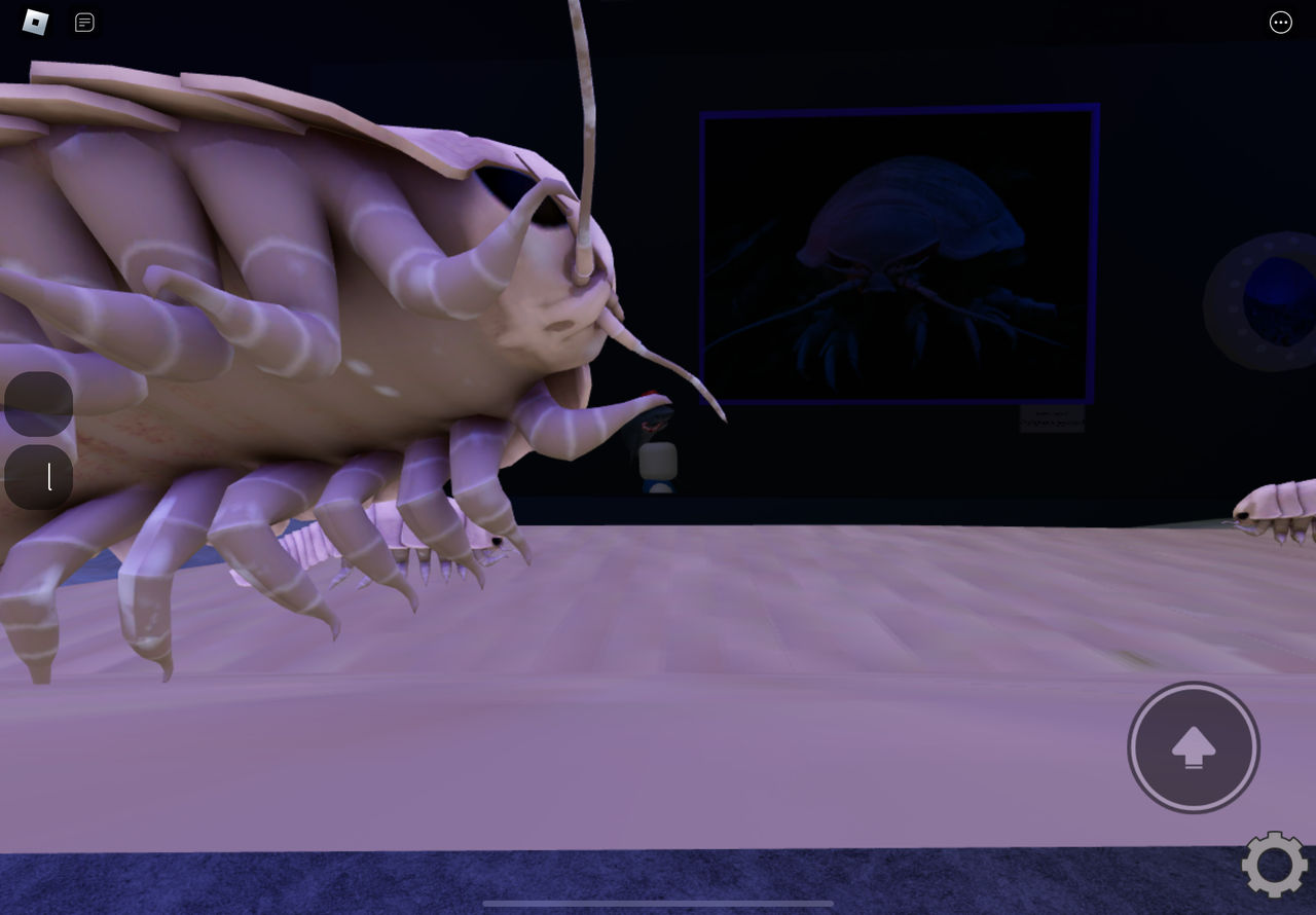 A bunch of Giant Isopods by Kingofallkongs on DeviantArt