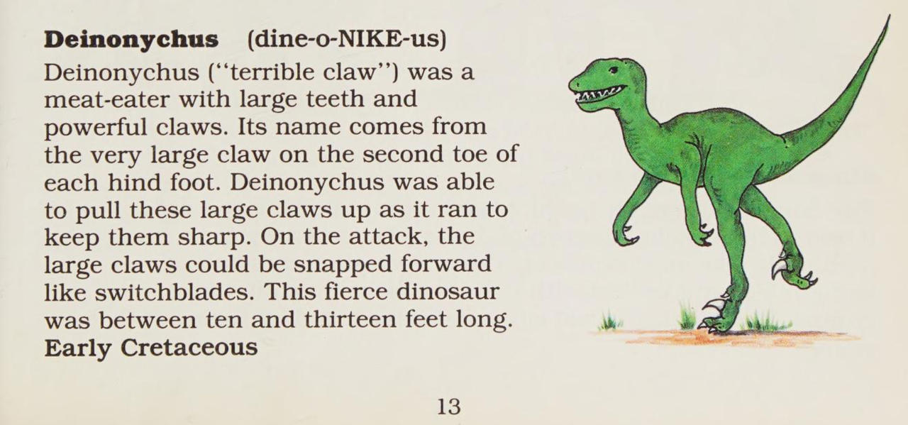 The Terrible Claw: Facts About Deinonychus